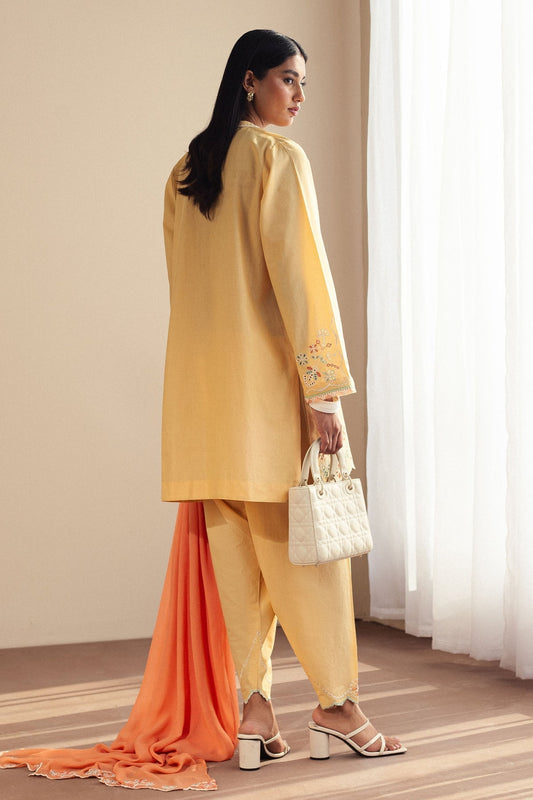 Zara Shahjahan | Pret Wear | CR25P0109 - House Of Anaya