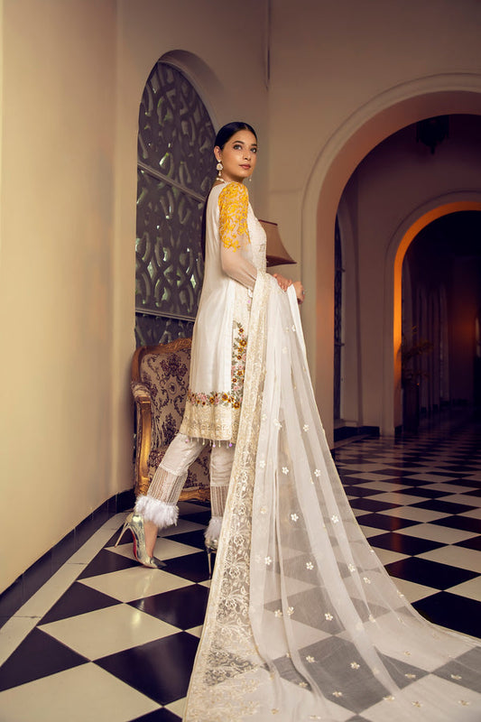 House of Nawab | Luxury Formals | HM-03 - House Of Anaya