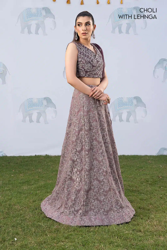 Iznik | Shendi Luxury Formals 23 | ISC-05 KAAFISHA - House Of Anaya