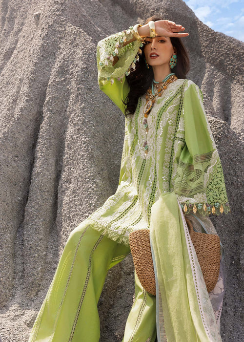 Saira Shakira | Luxury Lawn 25 | NADINE-B