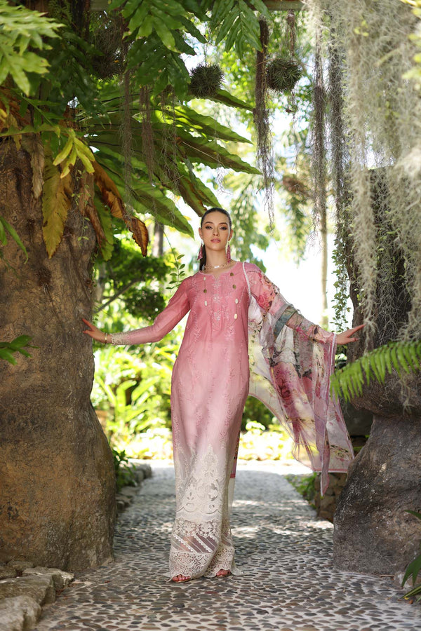 Noor by Saadia Asad | Luxury Chikankari Lawn24 | D1-A Pink Ombre - House Of Anaya