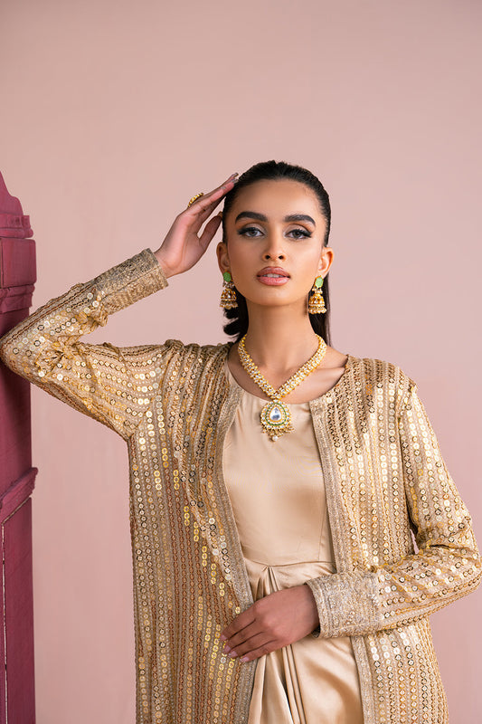 Vanya | Fareesha Formals | FR-06 - House Of Anaya