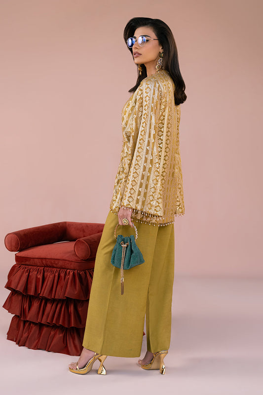 Vanya | Fareesha Formals | FR-02 - House Of Anaya