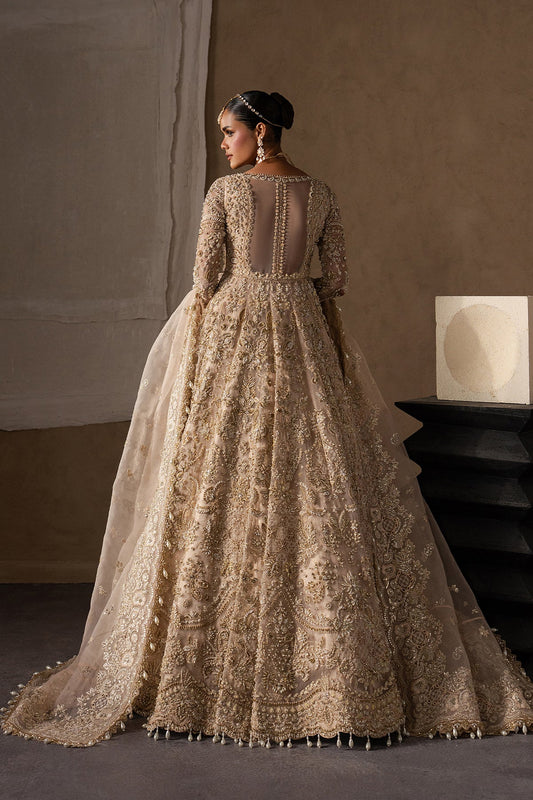 Afrozeh | Brides Edit’26 | Catarine