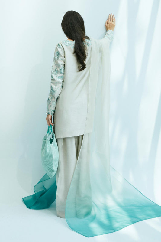 Zara Shahjahan | Festive Eid 24 | ZC-2034 - House Of Anaya