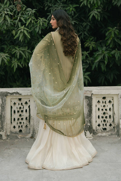 MNR | Ashiyana Festive Eid Collection 25 | Ayzal - House Of Anaya