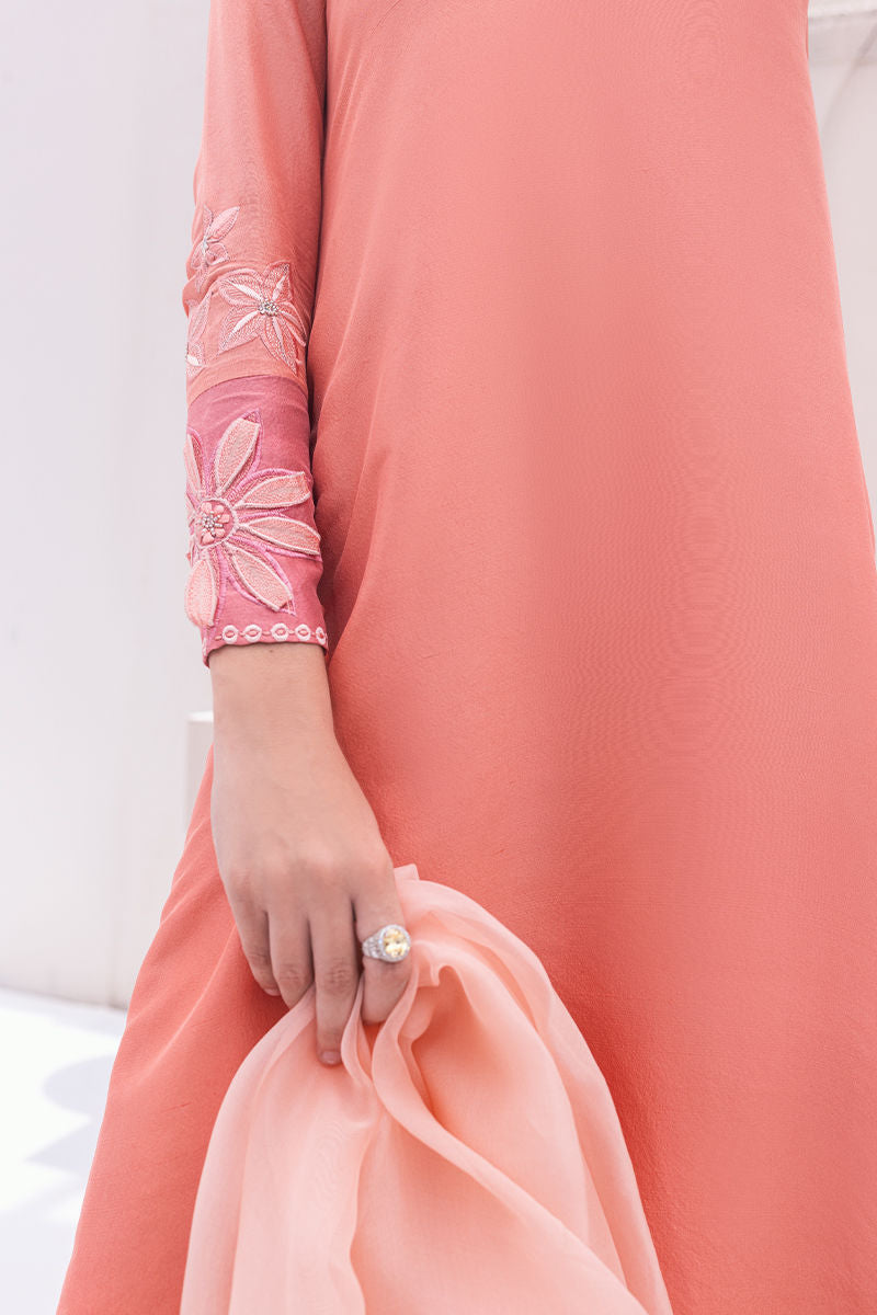 Ansab Jahangir | Luxe Pret Signature | Renee - House Of Anaya
