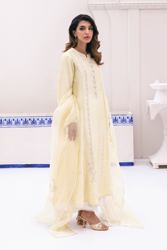 Ansab Jahangir | Luxe Pret Signature | BANEEN - House Of Anaya
