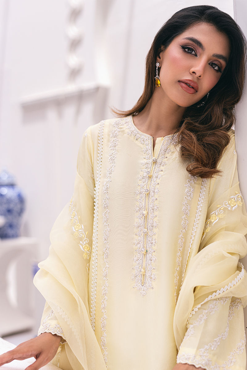 Ansab Jahangir | Luxe Pret Signature | BANEEN - House Of Anaya