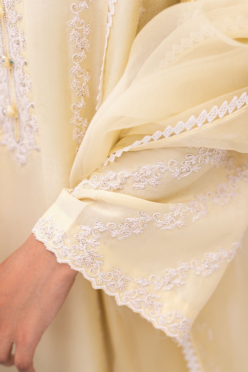 Ansab Jahangir | Luxe Pret Signature | BANEEN - House Of Anaya