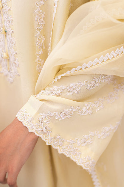 Ansab Jahangir | Luxe Pret Signature | BANEEN - House Of Anaya