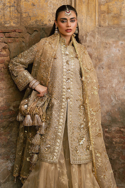 MNR | Zarlish Festive Stitched Vol VI | ROSHNI