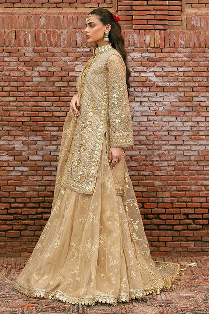 MNR | Zarlish Festive Stitched Vol VI | ROSHNI