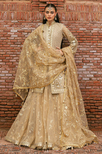 MNR | Zarlish Festive Stitched Vol VI | ROSHNI