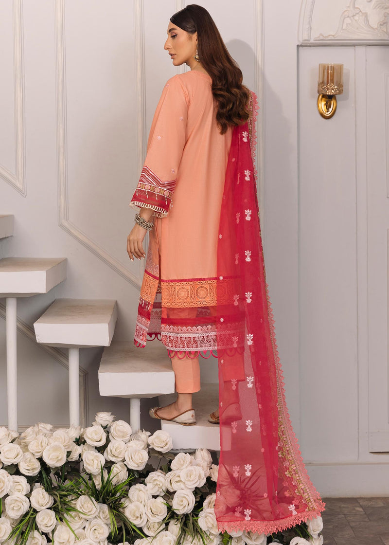 Daud Abbas | Formals Collection | Mehrma - House Of Anaya