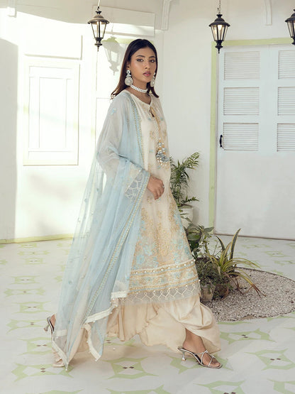 Salitex | Signature Festive Chiffon | SUNW6NO005UT