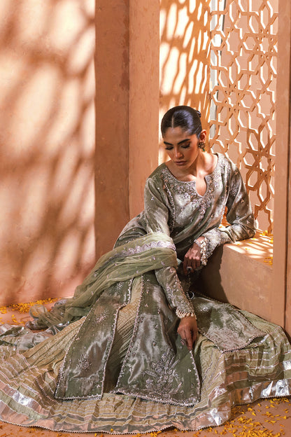 Annus Abrar | Mirha Winter Velour | Raajya