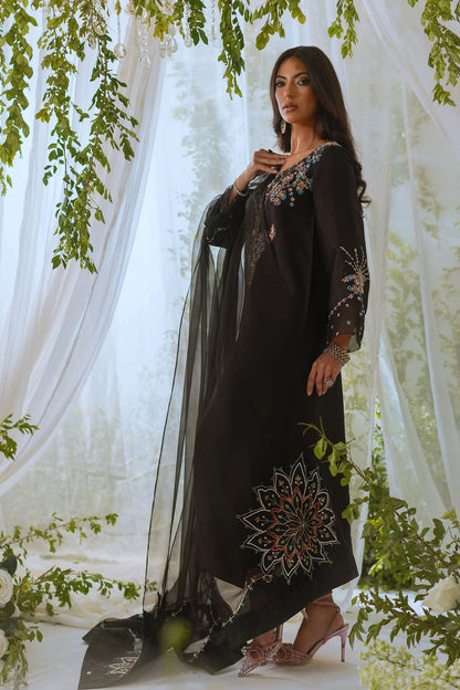 Annus Abrar | Lumi Eid Edit | Neda (Shirt and Pants)