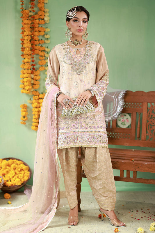 Ansab Jahangir | The Rani Edit | Nahal