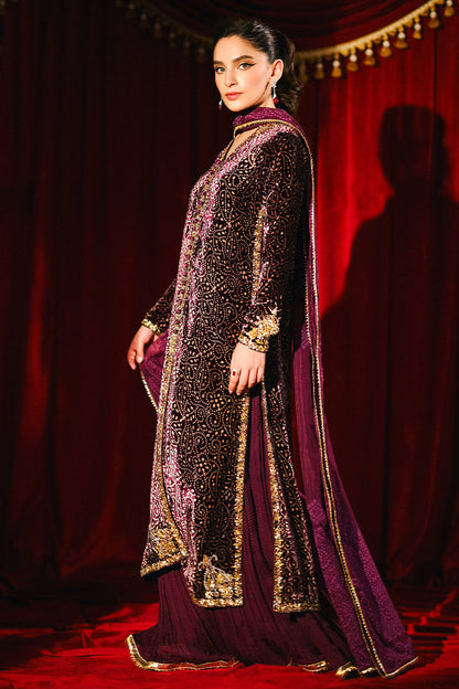 Ansab Jahangir | So Hot Luxury Velvets | Sabeen