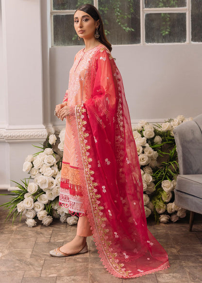 Daud Abbas | Formals Collection | Mehrma - House Of Anaya