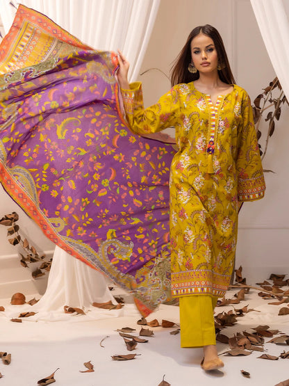Salitex | Khaddar 24 |  K-05 - House Of Anaya
