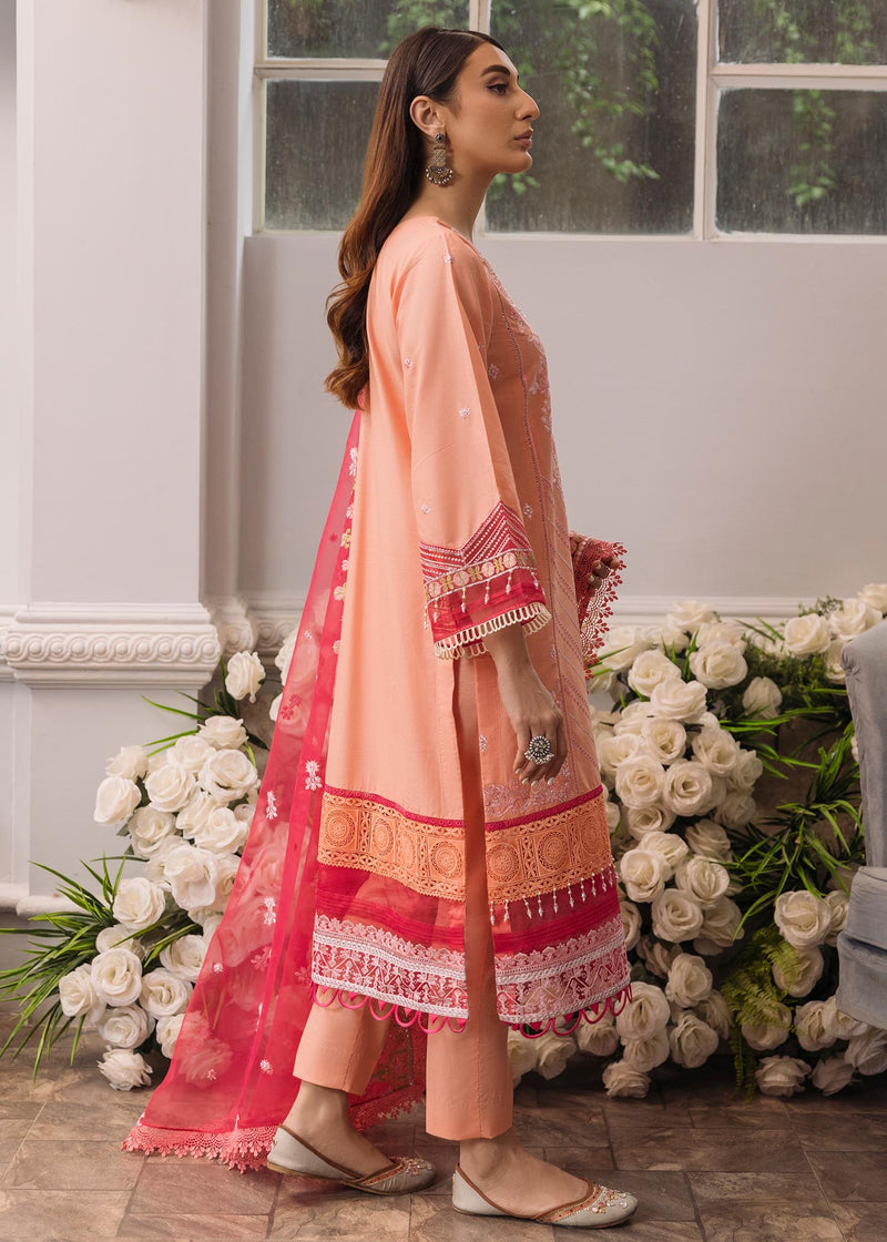 Daud Abbas | Formals Collection | Mehrma - House Of Anaya