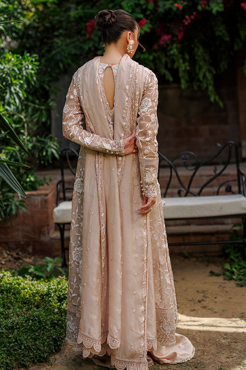 Clarisse