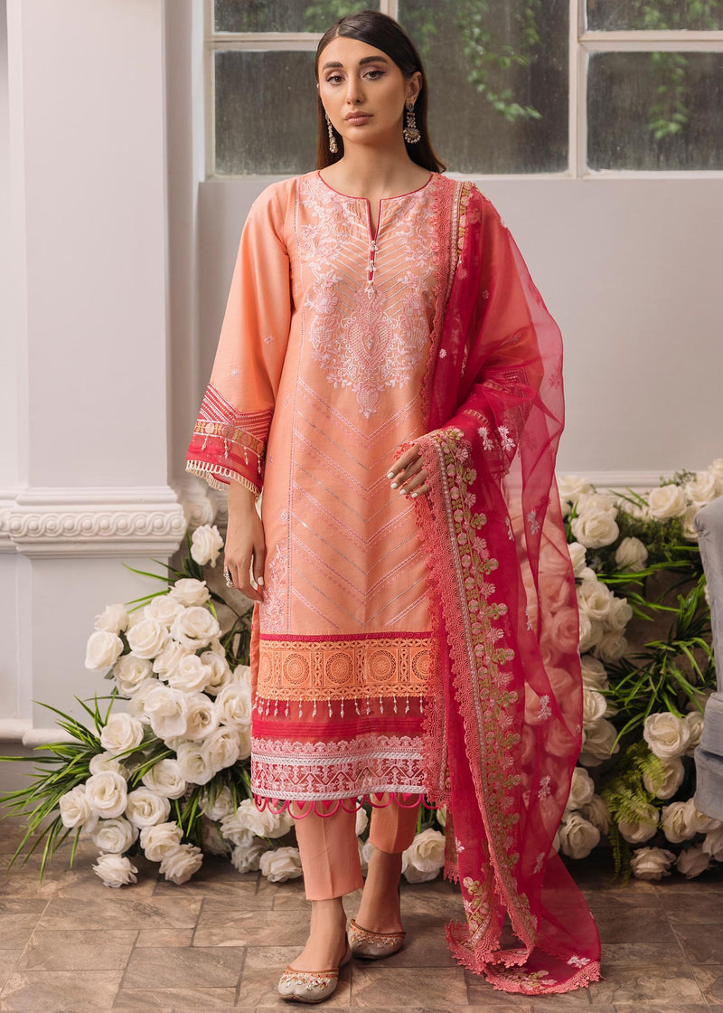 Daud Abbas | Formals Collection | Mehrma - House Of Anaya