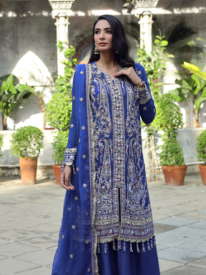 Salitex | Raaya Chiffon 24 | M04 - House Of Anaya