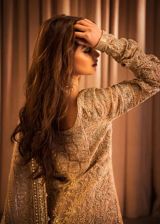 HSY | Rehana Collection 2023 | Ulfat - House Of Anaya