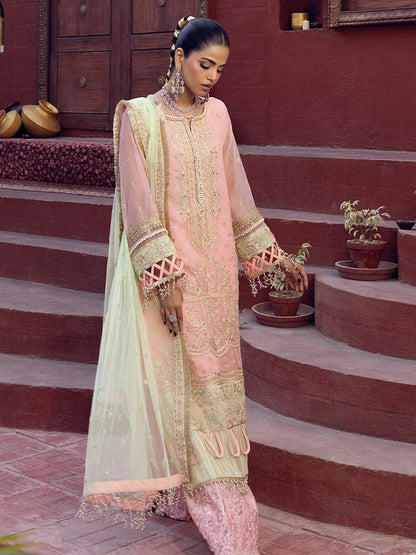 Salitex | Signature Festive Chiffon | SUNW6JI016UT