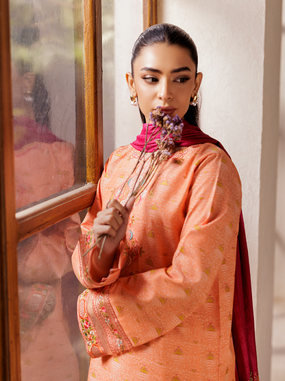 Rajbari | Amari Hybrid Jacquard Edition | Amari Jacquard - 04 - House Of Anaya