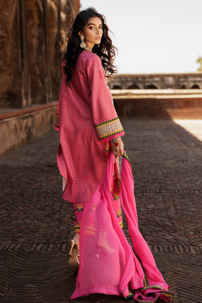 Charizma | Festive Pret | CNP-5-41