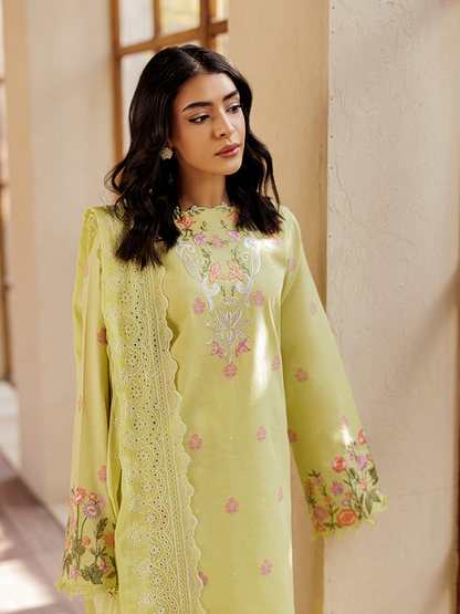 Rajbari | Amari Hybrid Jacquard Edition | Amari Jacquard - 08 - House Of Anaya