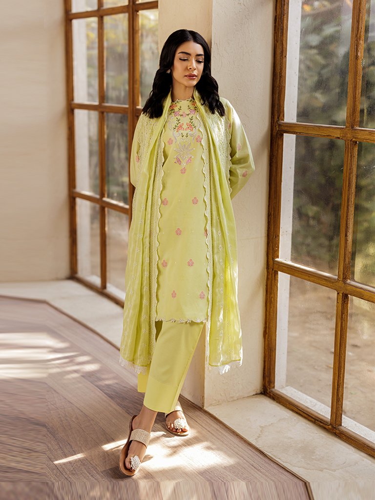 Rajbari | Amari Hybrid Jacquard Edition | Amari Jacquard - 08 - House Of Anaya