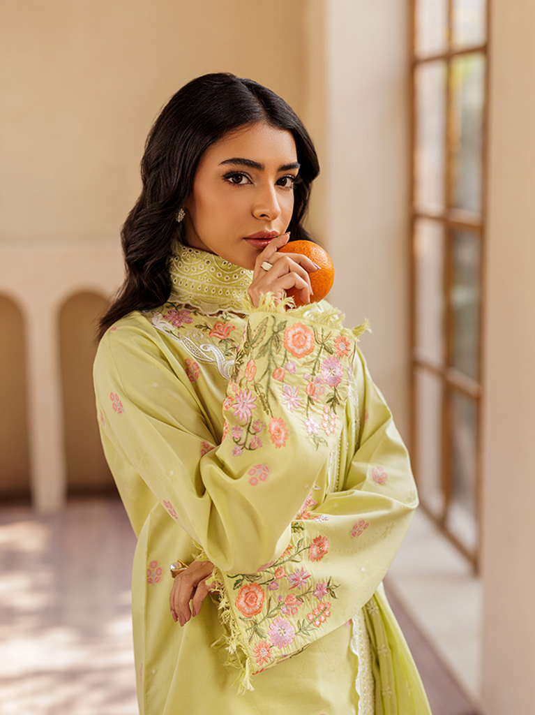 Rajbari | Amari Hybrid Jacquard Edition | Amari Jacquard - 08 - House Of Anaya
