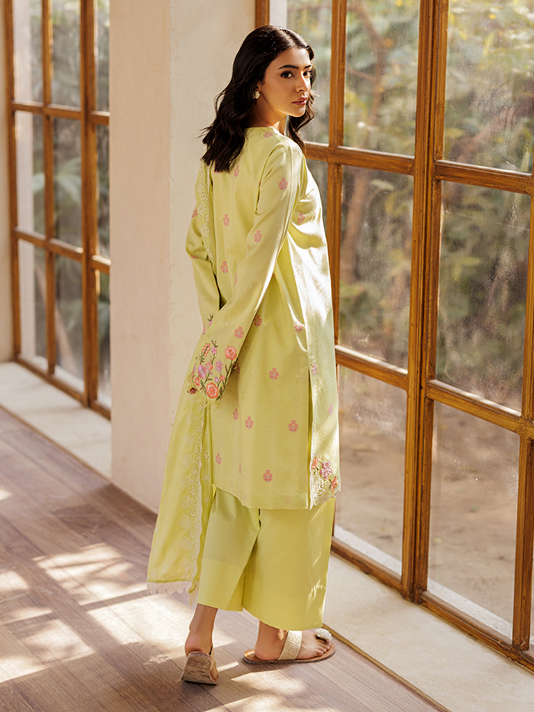 Rajbari | Amari Hybrid Jacquard Edition | Amari Jacquard - 08 - House Of Anaya