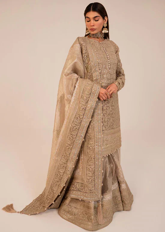 HSY | Rehana Collection 2023 | Ulfat - House Of Anaya