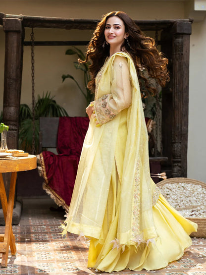 Salitex | Signature Festive Chiffon | SUNW6NO030UT