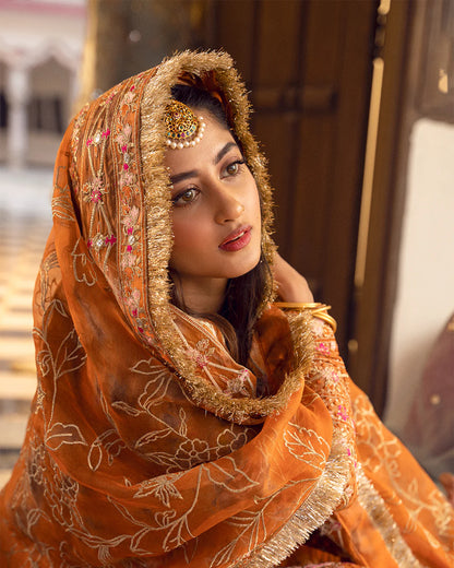 Faiza Saqlain | FS Luxe Vasl e yaar | Gahana