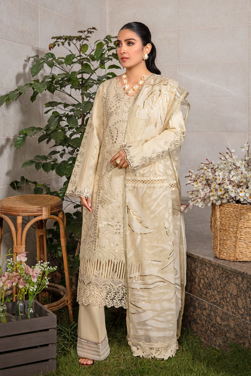 Rangrasiya | Premium Collection 24 | HAYA