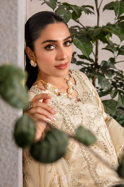 Rangrasiya | Premium Collection 24 | HAYA