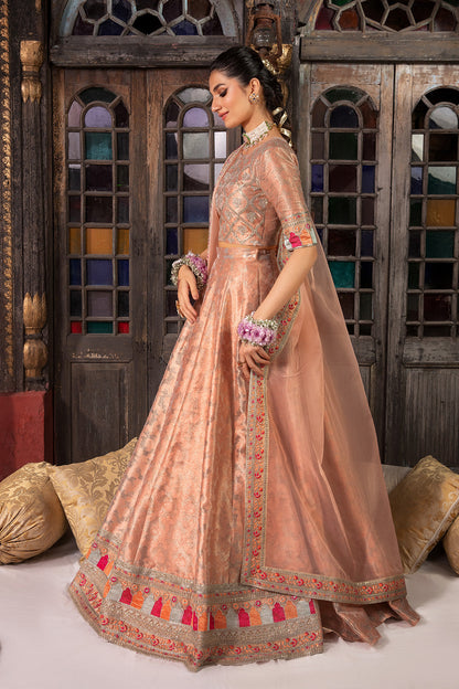 So Kamal | Wedding Festive 24 | LUMA - House Of Anaya