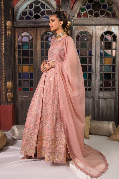 So Kamal | Wedding Festive 24 | CELESTIA - House Of Anaya