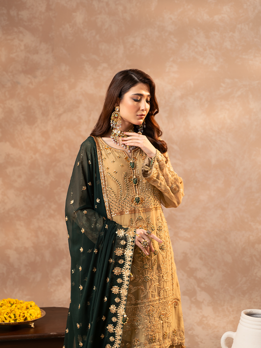 Zebtan | Zeenat Festive Collection | ZN-06 - House Of Anaya