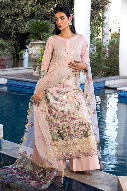 Raeesa Premium | Senorita Formals | SR-006
