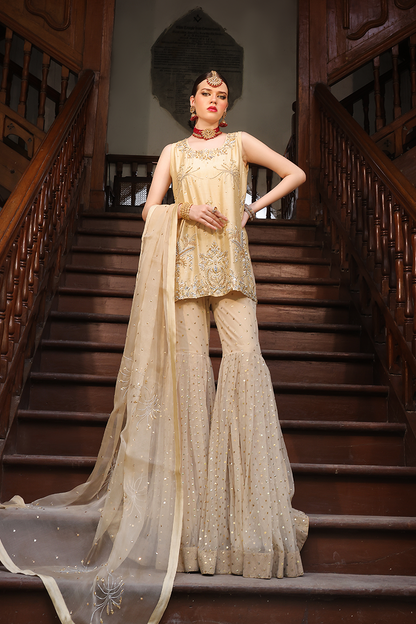 Mona Imran | Dilzaib Formals | Seerat - House Of Anaya