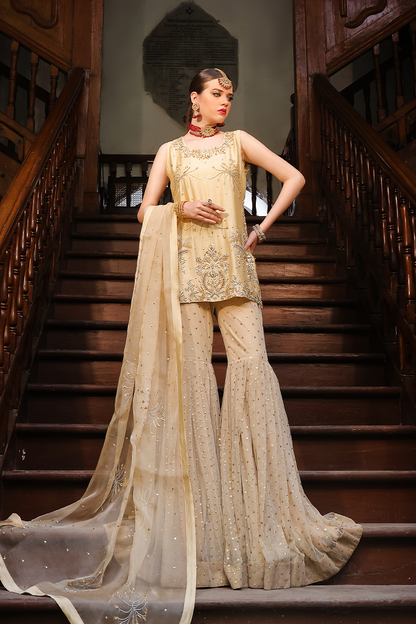 Mona Imran | Dilzaib Formals | Seerat - House Of Anaya