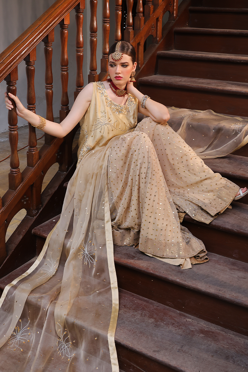 Mona Imran | Dilzaib Formals | Seerat - House Of Anaya
